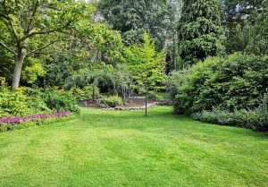 Optimiser l'expérience du jardin à Giverny